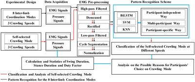 Research on the electromyography-based pattern recognition for inter-limb coordination in human crawling motion